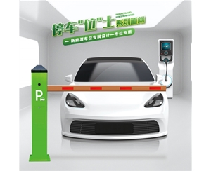 聊城RG-CW系列车位小道闸